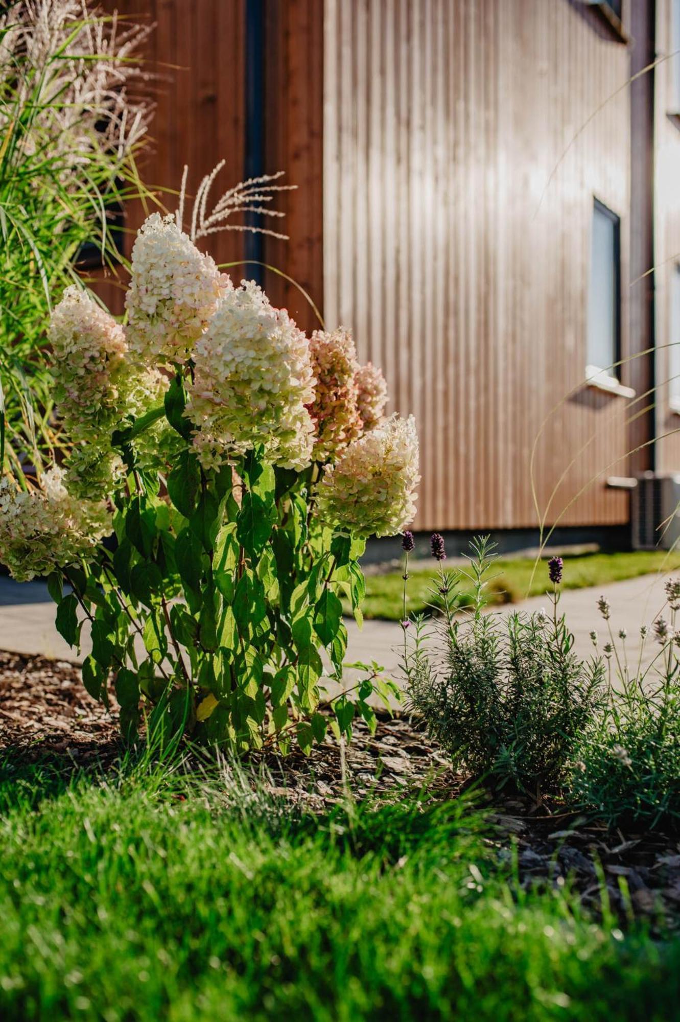 Dwa Brzegi Apartman Międzywodzie Kültér fotó